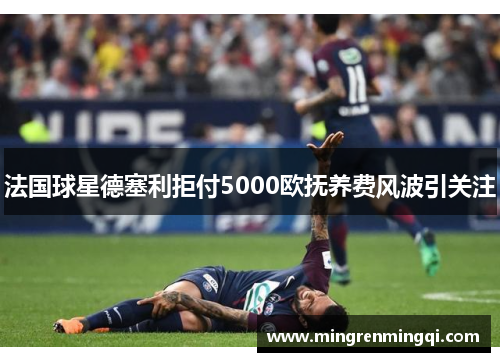 法国球星德塞利拒付5000欧抚养费风波引关注